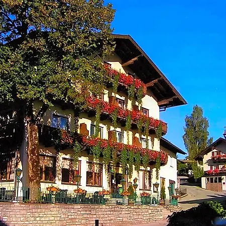 Goldener Stern